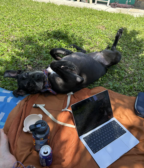 How to compose at the beach, featuring Composer’s Assistant Sadie Mae
